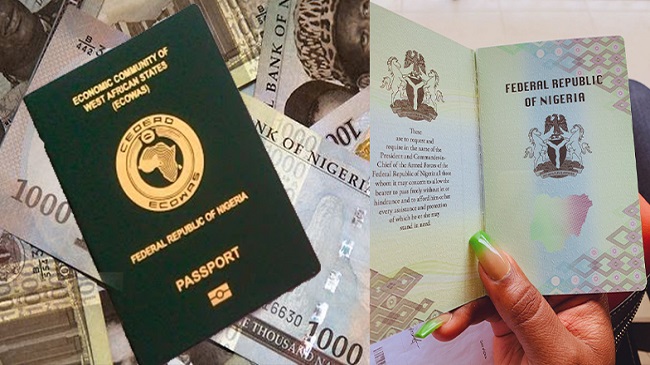 Cost Of International Passports In Nigeria, Types & Application