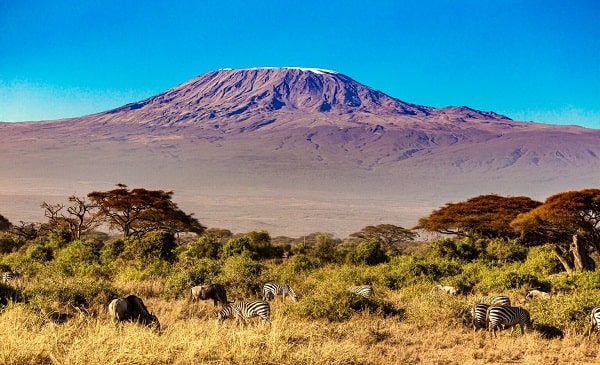 The 20 Most Mountainous Countries In Africa