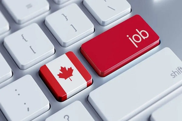 The 10 Highest Paying Jobs In Canada 2024