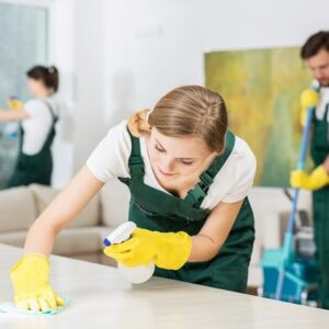 The 8 Best Cleaning Companies In The United States
