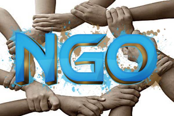 The Differences Between an NGO and a Private Company