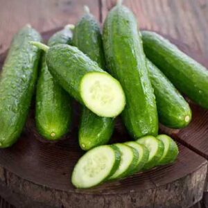 How To Start Cucumber Farming Business: For Beginners