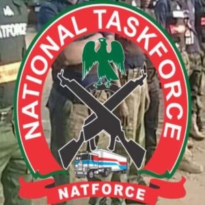 NATFORCE Salary Structure in Nigeria: Ranks & Recruitment Requirements