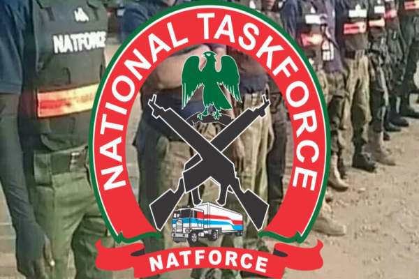 NATFORCE Salary Structure in Nigeria: Ranks & Recruitment Requirements